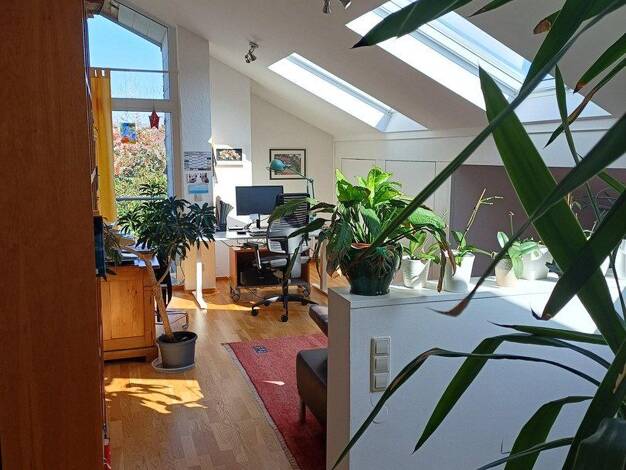 Einfamilienhaus zum Kauf provisionsfrei 590.000 € 5 Zimmer 170 m² 959 m² Grundstück frei ab 15.12.2026 Trierweiler Trierweiler 54311