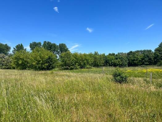 Gewerbegrundstück zum Kauf 159.000 € 9.200 m² Grundstück Badrina Schönwölkau 04509