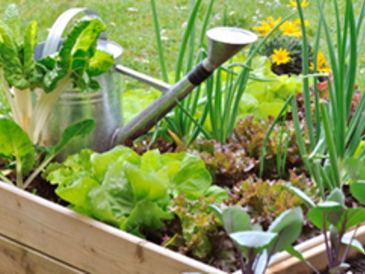 Sonstiges zur Miete 25 € Bürs 6706