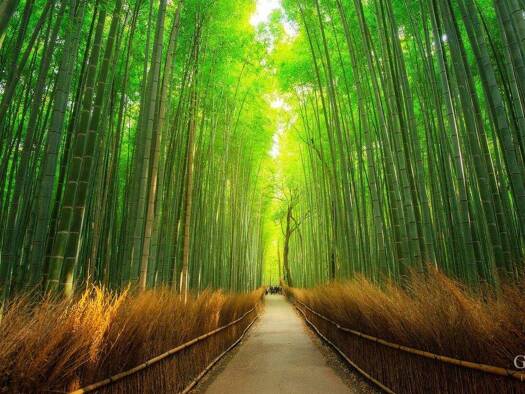 Grundstück zum Kauf 930.000 € 1.100 m² Grundstück Mühlburg Karlsruhe 76185