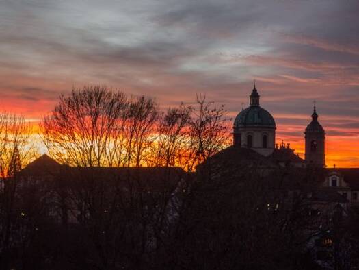 WG-Zimmer zur Miete 800 € 2 Zimmer 50 m² 1. Geschoss frei ab 01.08.2026 Weingarten 88250