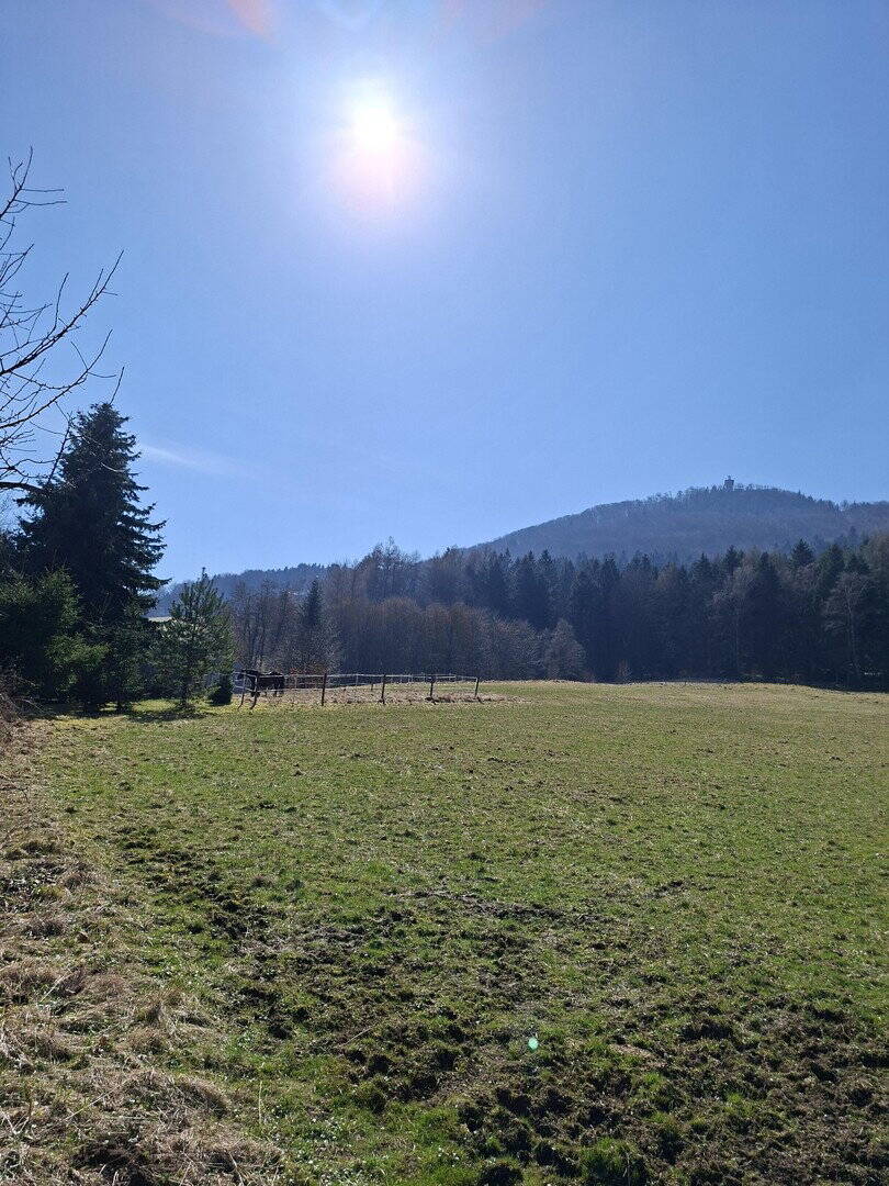 Einfamilienhaus zum Kauf, Waltersdorf