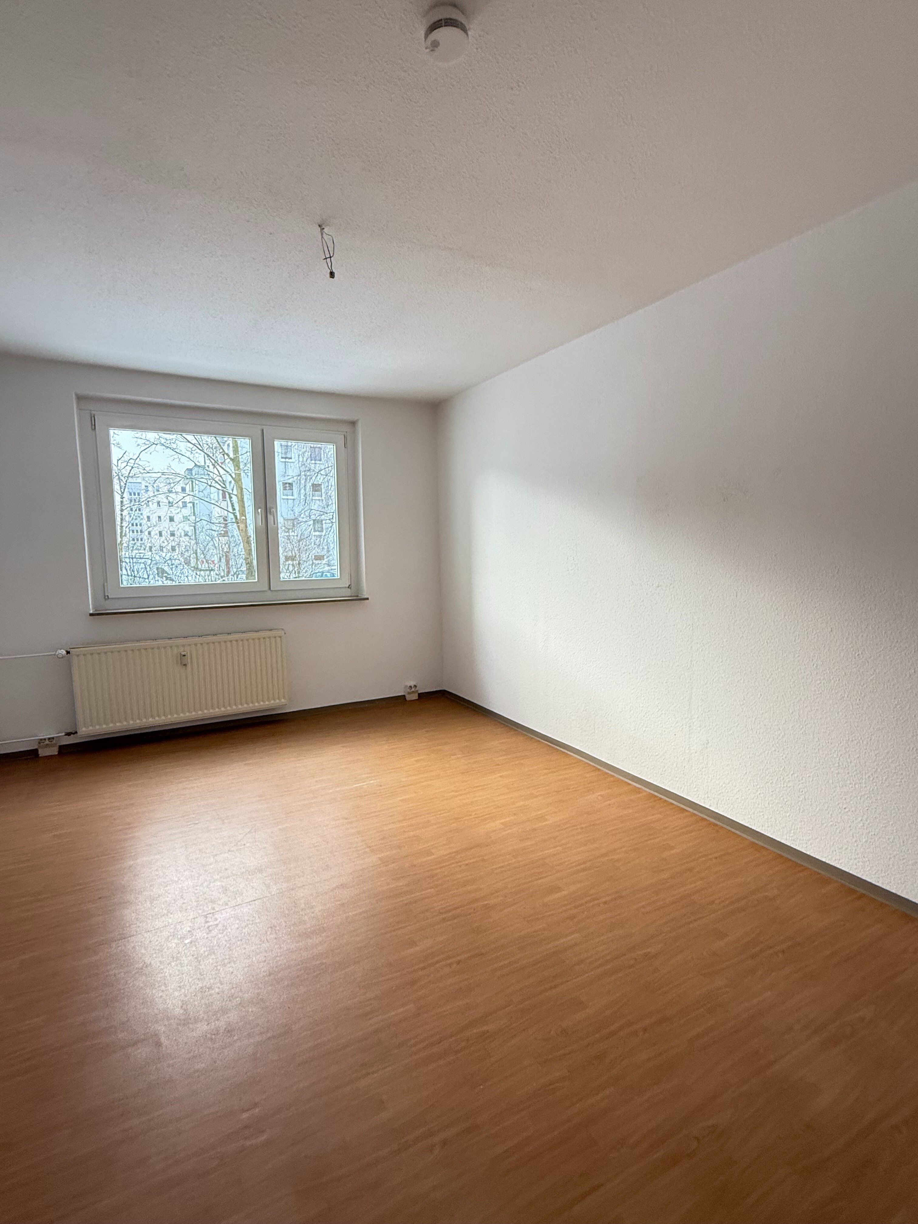 Studio zur Miete 401 € 3 Zimmer 60,8 m²<br/>Wohnfläche EG<br/>Geschoss Knieper West Stralsund 18435