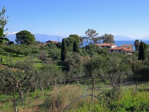 Grundstück zum Kauf 300.000 € 6.000 m² Grundstück Municipality of Pylos and Nestor TK24004