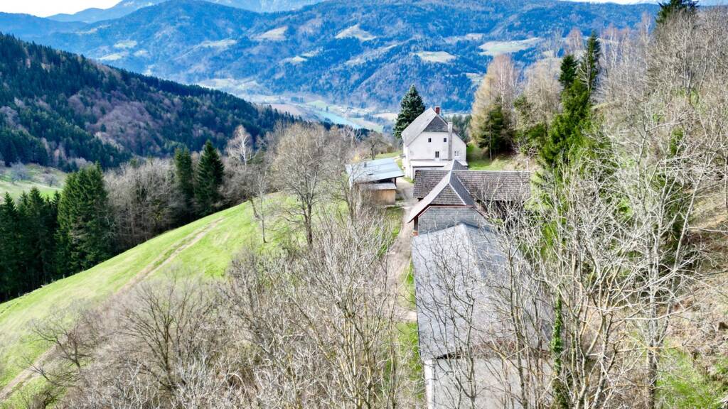 Bauernhaus zum Kauf 795.000 € 5 Zimmer 260 m² 285.413 m² Grundstück Lavamünd 9473
