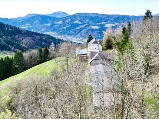 Bauernhaus zum Kauf 695.000 € 5 Zimmer 260 m² 285.413 m² Grundstück Lavamünd 9473
