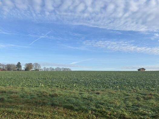 Land-/Forstwirtschaft zum Kauf 10.092 m² Grundstück Bassum 27211