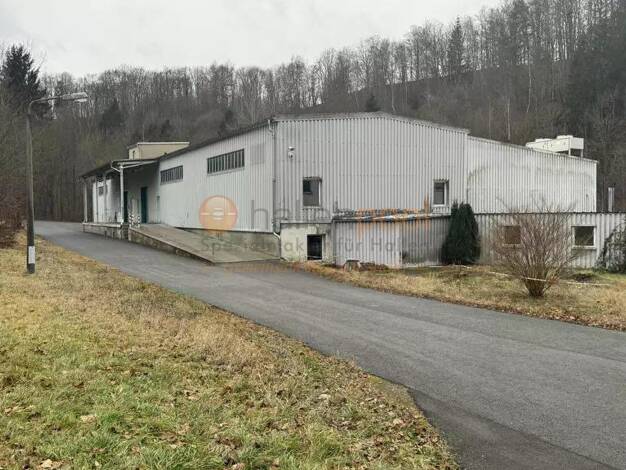 Lagerhalle zur Miete provisionsfrei 2.600 m² Lagerfläche teilbar ab 1.000 m² Großrückerswalde Großrückerswalde 09518