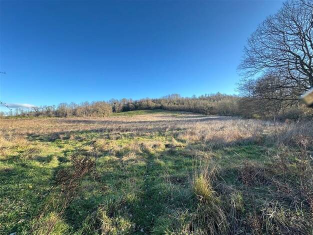 Land-/Forstwirtschaft zum Kauf 38.000 € 40.000 m² Grundstück Massa Marittima Prata 58024