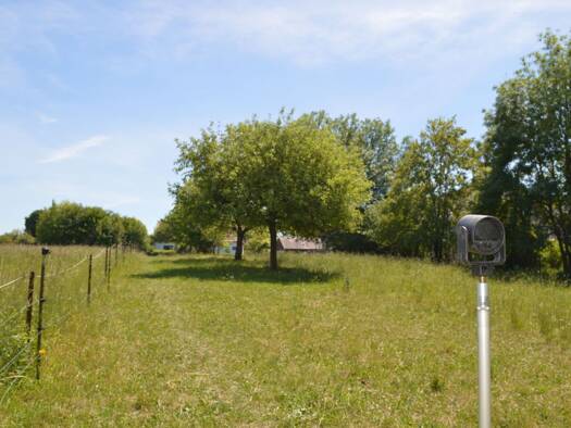 Grundstück zum Kauf provisionsfrei 117.750 € 501 m² Grundstück Ommersheim Mandelbachtal 66399