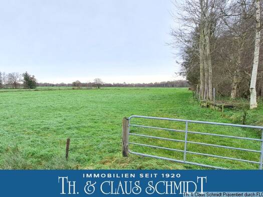 Land-/Forstwirtschaft zum Kauf 75.000 € 30.000 m² Grundstück Barghorn Rastede 26180