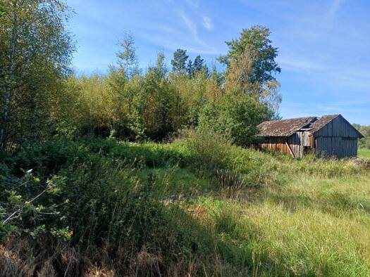 Land-/Forstwirtschaft zum Kauf 32.000 € 14.893 m² Grundstück Muschenried Winklarn 92559