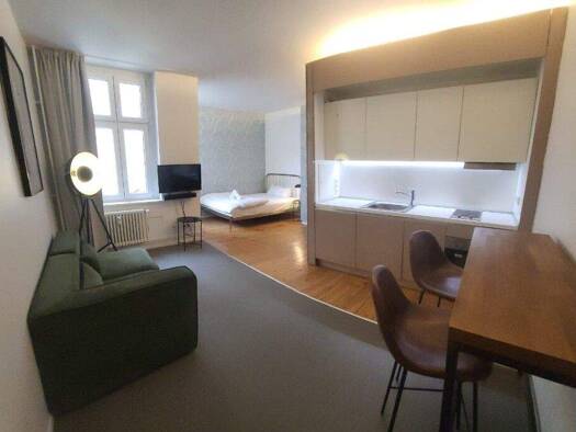 Wohnung zur Miete Wohnen auf Zeit 1.078 € 1 Zimmer 26,2 m² frei ab sofort Kreuzberg Berlin 10967
