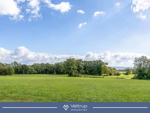 Land-/Forstwirtschaft zum Kauf 310.000 € 30.700 m² Grundstück Dießen Dießen am Ammersee 86911