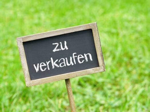 Grundstück zum Kauf 450.000 € 1.030 m² Grundstück Schluchsee 79859