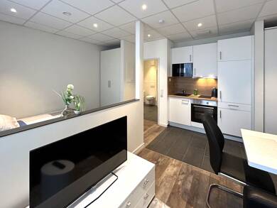 Studio zur Miete 1.145 € 1 Zimmer 25 m² frei ab sofort Triftstraße Niederrad Frankfurt am Main 60528