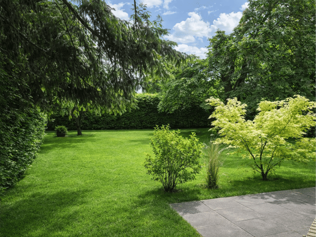 Wohnung zum Kauf 561.000 € 3 Zimmer 97 m² frei ab 01.09.2026 Volksdorf Hamburg 22359