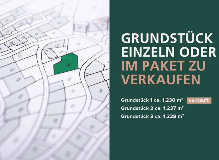 Grundstück zum Kauf 115.000 € 3.695 m² Grundstück Dammereez Dersenow / Dammereez 19273