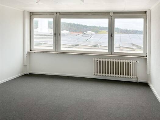 Bürofläche zur Miete 250 € 18,9 m² Bürofläche Stübach Diespeck 91456