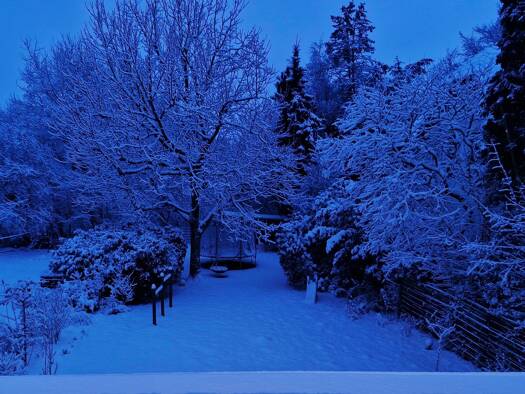 Einfamilienhaus zum Kauf provisionsfrei 930.000 € 6 Zimmer 148 m² 782 m² Grundstück Alveslohe 25486