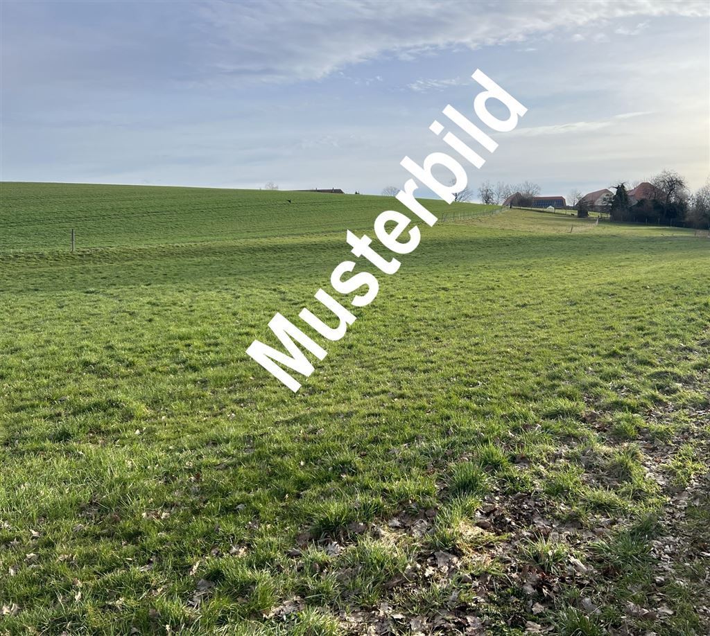 Landwirtschaftliche Fläche zum Kauf 189.000 € 49.745 m²<br/>Grundstück Kolka Geithain 04643