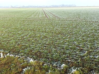 Landwirtschaftliche Fläche zum Kauf 460.000 € 35.153 m² 35.153 m² Grundstück Enkesen Soest 59494