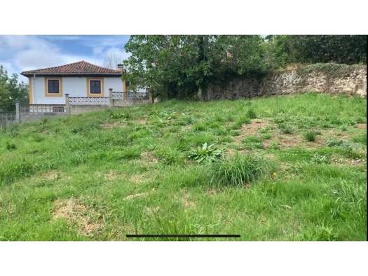 Acker-/Waldstück zum Kauf 16.000 € Villaviciosa 33316