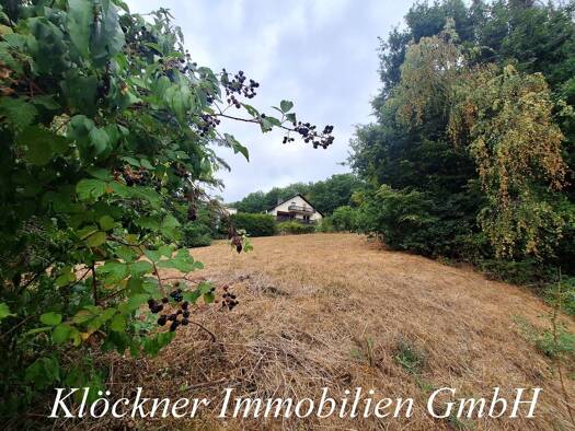 Einfamilienhaus zum Kauf 320.000 € 4 Zimmer 1.150 m² Grundstück Malstatt Mitte 66113