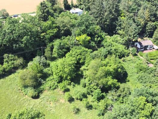 Freizeitgrundstück zum Kauf 60.000 € 1.035 m² Grundstück Daisbach Waibstadt 74915