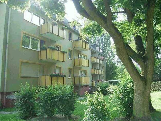 Wohnung zur Miete 465 € 3,5 Zimmer 68,3 m² 2. Geschoss frei ab 01.03.2026 Kleine Martinistraße 67 Röhlinghausen Herne 44651