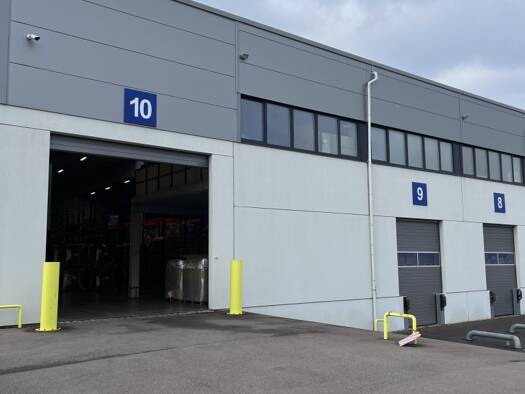 Lagerhalle zur Miete 7.317 € 1.626 m² Lagerfläche teilbar ab 1.626 m² Trierweiler Trierweiler 54311