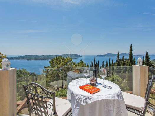 Villa zum Kauf 2.500.000 € 7 Zimmer 270 m² 560 m² Grundstück Orašac 20233