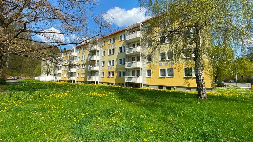 Wohnung zur Miete 402 € 3 Zimmer 59 m² 4. Geschoss frei ab 01.06.2026 Leonhard-Frank-Straße 82 Suhl 98529