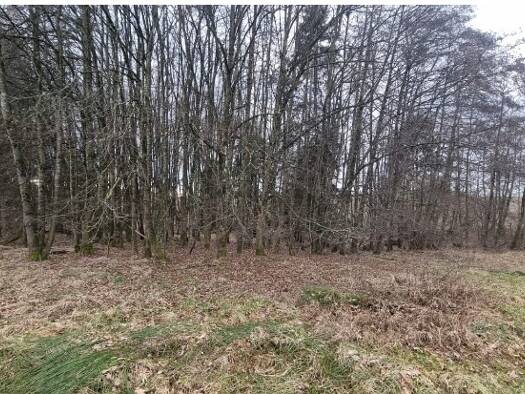 Land-/Forstwirtschaft zum Kauf 26.160 € 4.360 m² Grundstück Windorf 94575