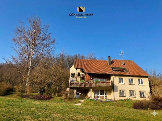 Mehrfamilienhaus zum Kauf 995.000 € 12 Zimmer 447 m² 1.020 m² Grundstück Wangen 73117