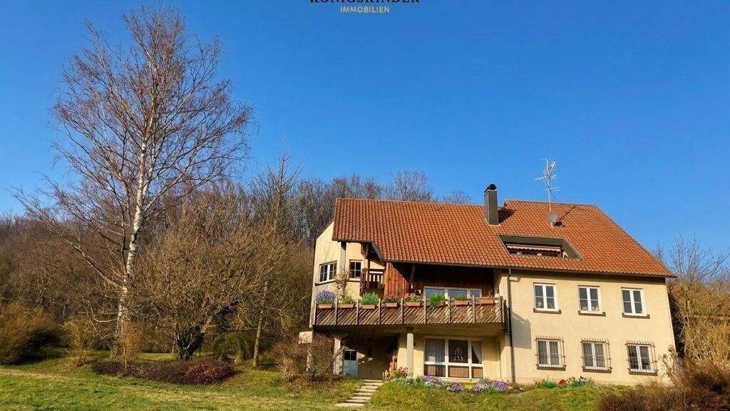 Mehrfamilienhaus zum Kauf 995.000 € 12 Zimmer 447 m² 1.020 m² Grundstück Wangen 73117