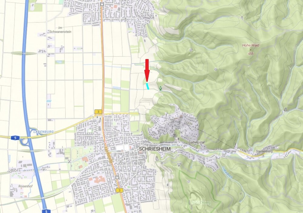 Land-/Forstwirtschaft zum Kauf 7.500 € 580 m²<br/>Grundstück Schriesheim Schriesheim 69198