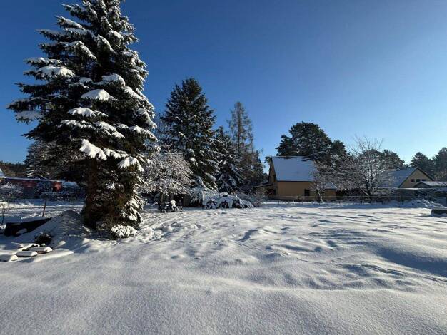 Grundstück zum Kauf provisionsfrei 653 m² Grundstück Bergfelde 16562