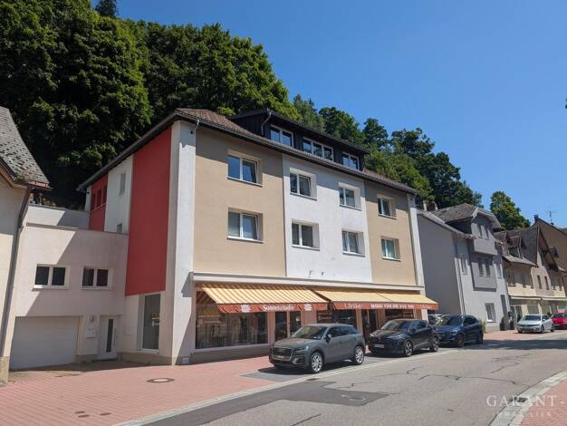 Mehrfamilienhaus zum Kauf 895.000 € 14 Zimmer 388 m² 676 m² Grundstück St Blasien St. Blasien 79837