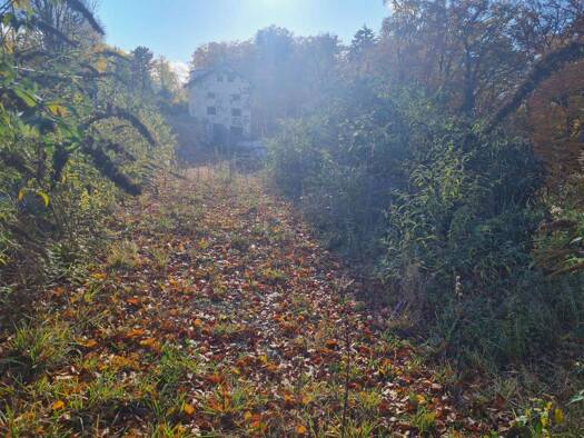 Grundstück zum Kauf provisionsfrei 6.000.000 € 3.743 m² Grundstück frei ab sofort Grünwald 82031