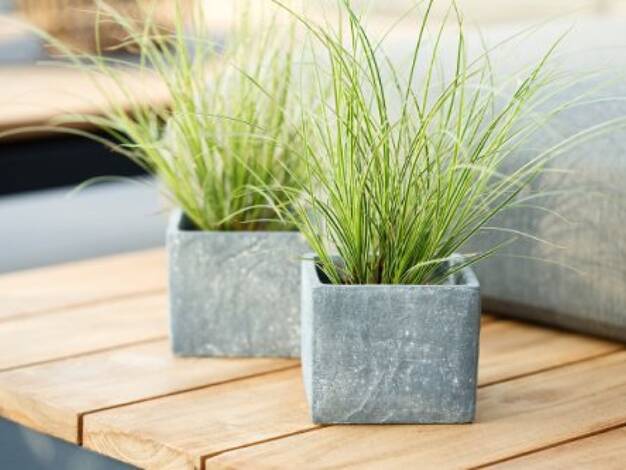 Einfamilienhaus zum Kauf 577.836 € 6 Zimmer 152 m² 600 m² Grundstück Pirna 01796