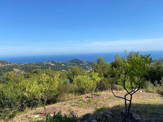 Einfamilienhaus zum Kauf 2.950.000 € 130 m² 159.901 m² Grundstück Bioves-Casino Menton 06500