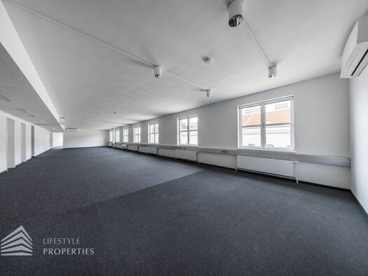 Büro zur Miete 4.817 € 5 Zimmer Innere Stadt 1010