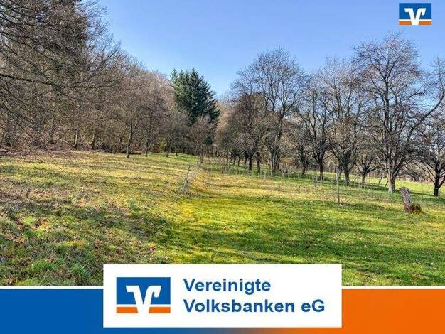 Land-/Forstwirtschaft zum Kauf 13.800 € 1.921 m² Grundstück Gärtringen 71116