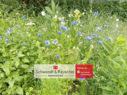 Grundstück zum Kauf 40.000 € 795 m² Grundstück Busenborn Schotten 63679