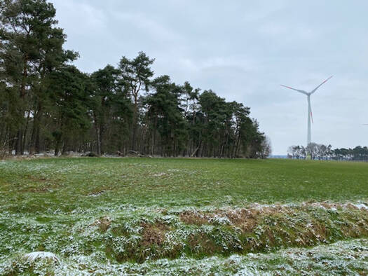 Land-/Forstwirtschaft zum Kauf 66.909 m² Grundstück Barnstorf / Düste 49406