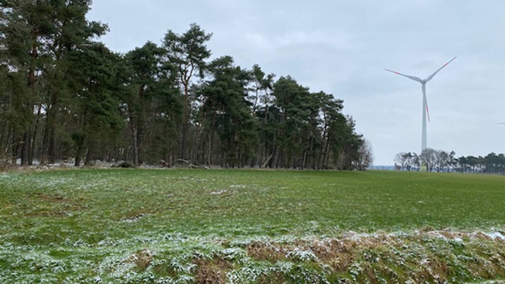 Land-/Forstwirtschaft zum Kauf 66.909 m² Grundstück Barnstorf / Düste 49406