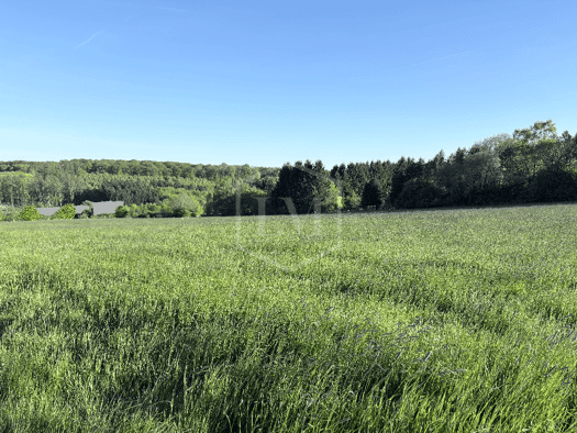 Landwirtschaftliche Fläche zum Kauf 45.000 € 11.727 m² Grundstück Schwelm 58332
