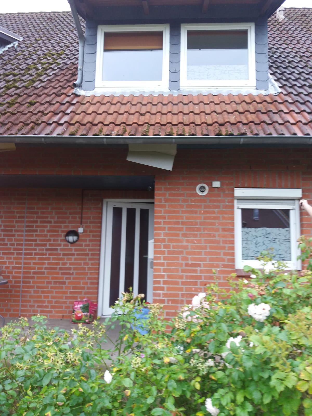 Reihenmittelhaus zur Miete 1.200 € 4 Zimmer 100 m²<br/>Wohnfläche 250 m²<br/>Grundstück 01.02.2025<br/>Verfügbarkeit Neustadt Neustadt in Holstein 23730