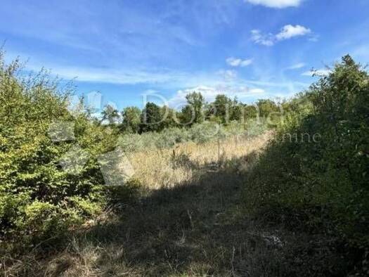 Acker-/Waldstück zum Kauf 85.415 € Nova Vas, Poreč Poreč 52440